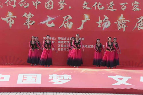 舞動(dòng)水城，綻放芳華——聊城市第七屆廣場(chǎng)舞展演活動(dòng)圓滿(mǎn)落幕